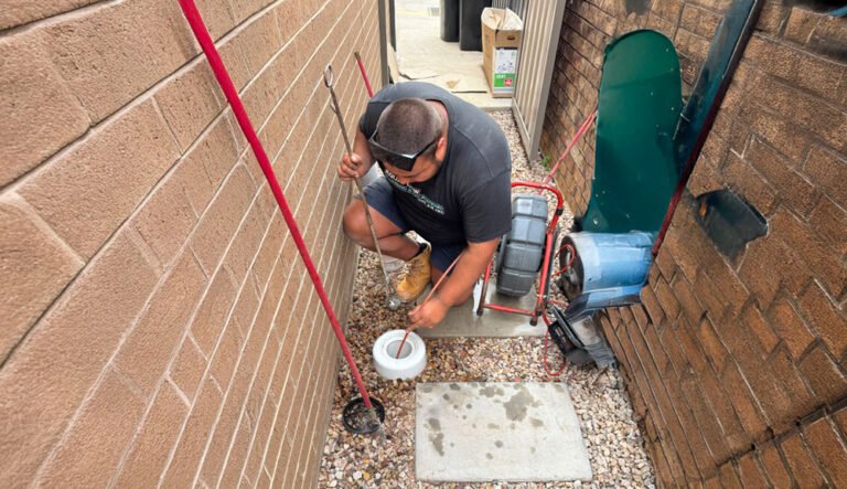 Domestic Page hero 768x443